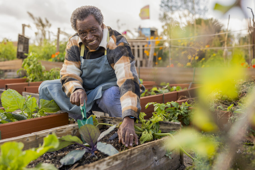 Gardening is a good form of Exercise | Organic Heir