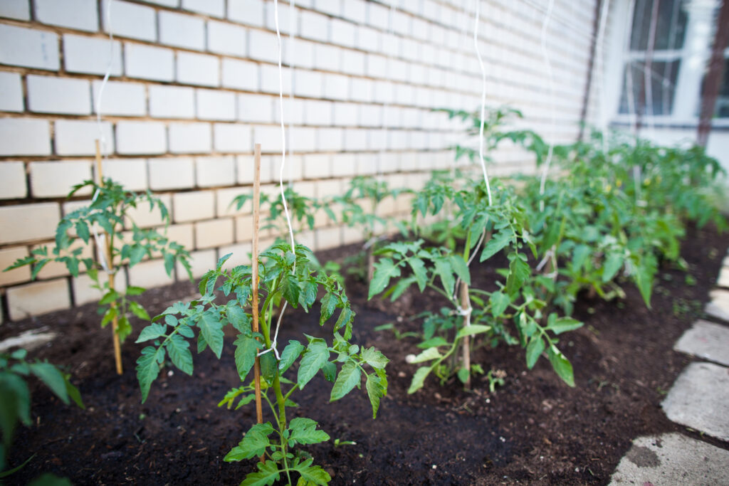 Health Benefits of Gardening: Why Gardening is Good for your Health | Organic Heir