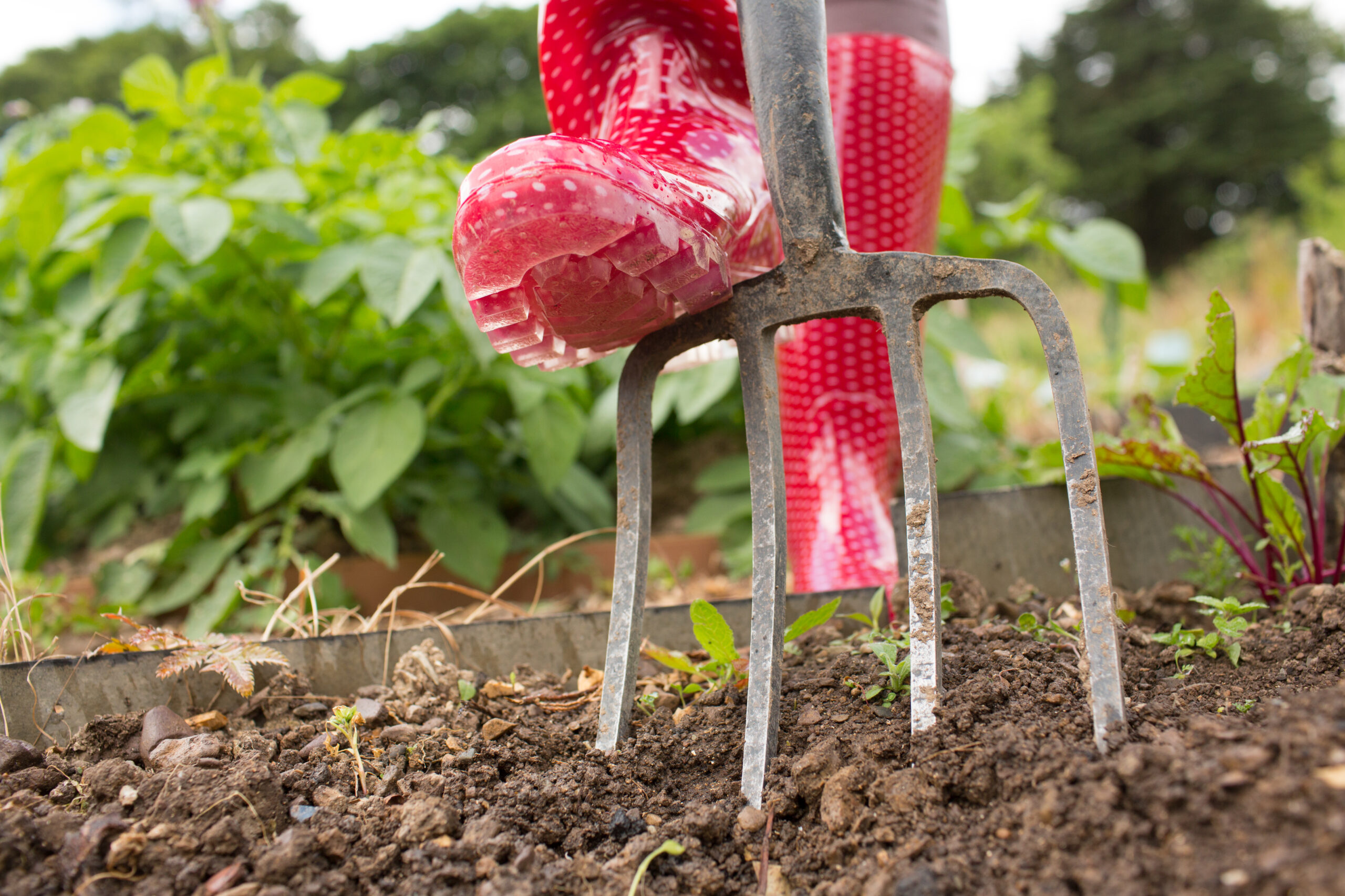 How to Start Composting | Organic Heir