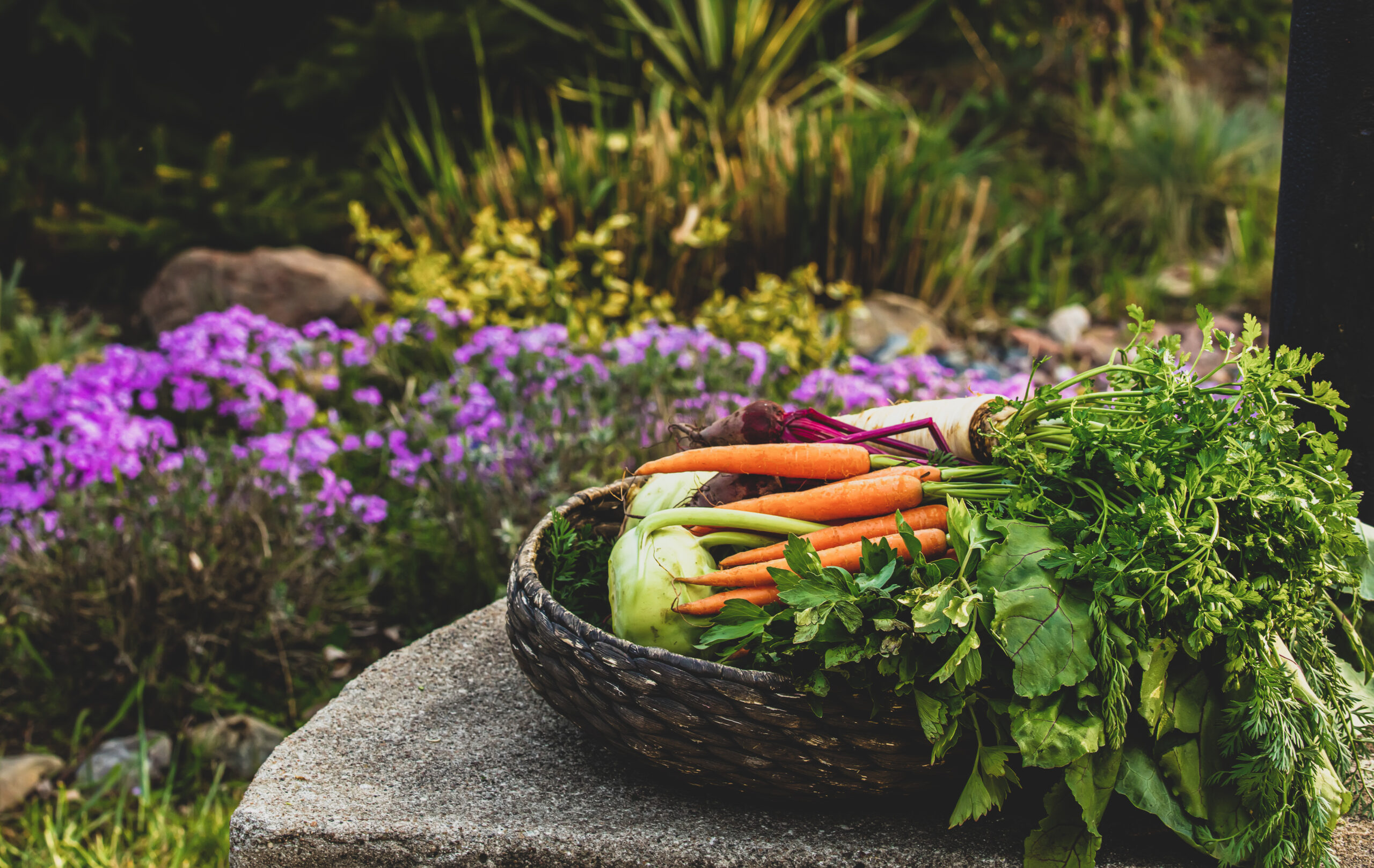 Health Benefits of Growing Your Own Food | Organic Heir