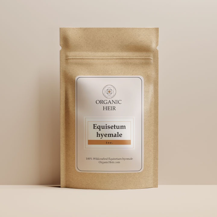 100% Wildcrafted Equisetum hyemale | Organic Heir